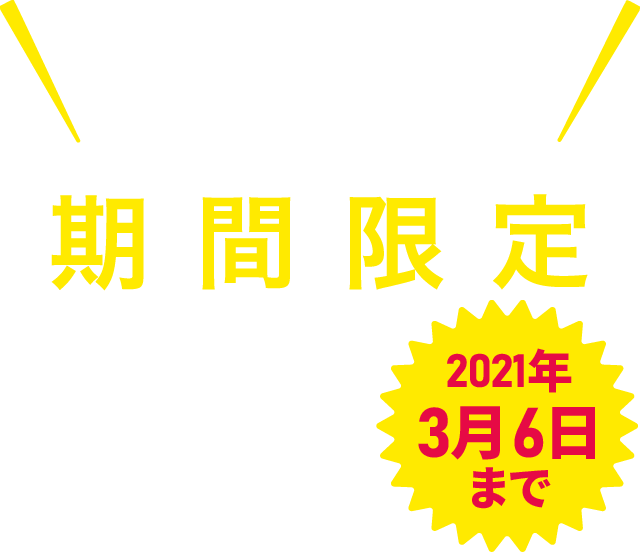 発売1ヶ月期間限定割引 2021年2月11日まで